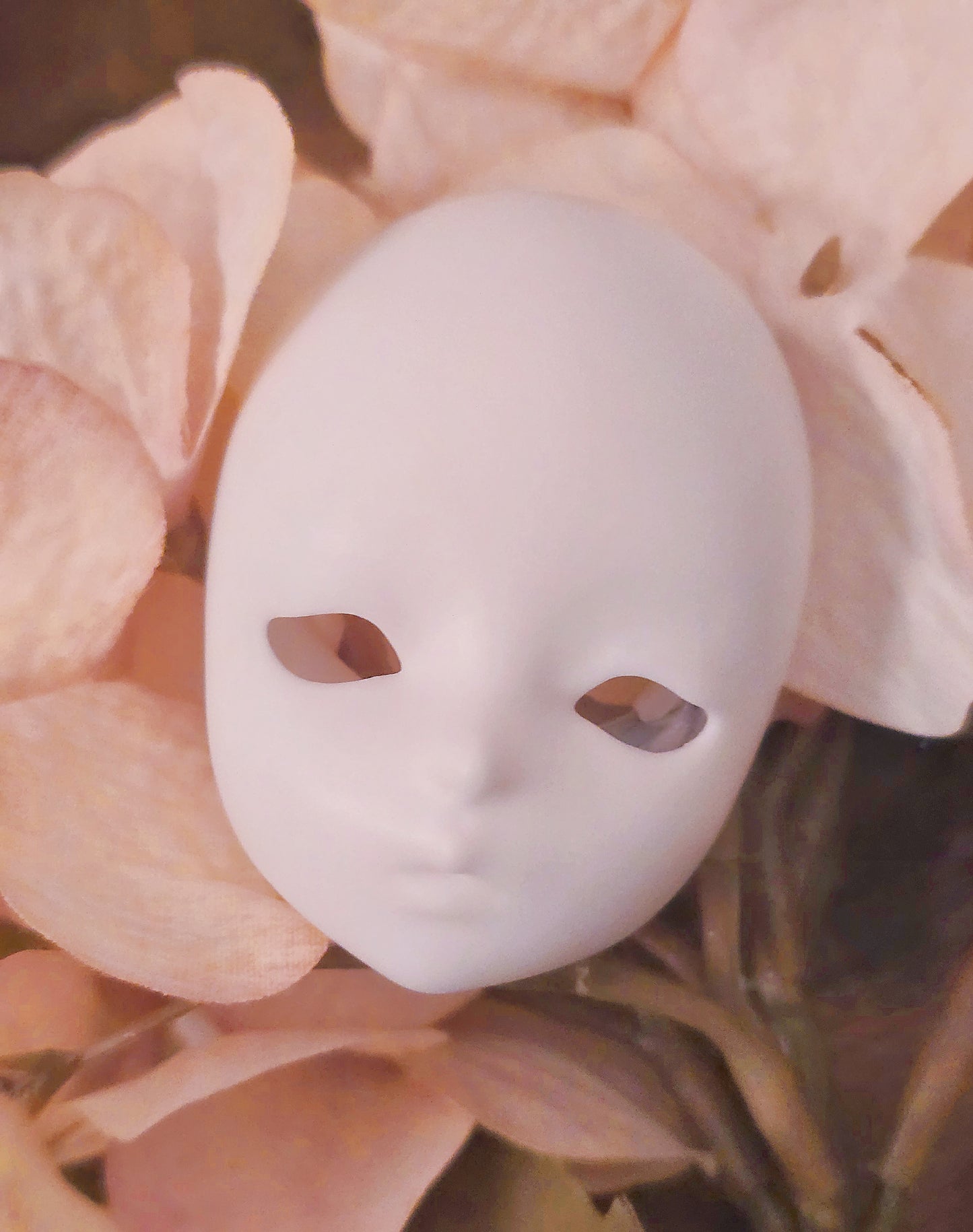 Celeste & Celestine Option Parts